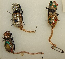 Preserved living brooches: Zopheridae in jewellery