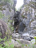 torrente Rino