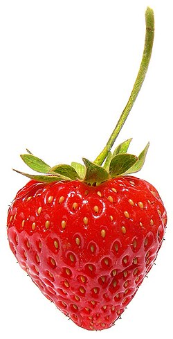 Morango