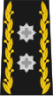 Division General