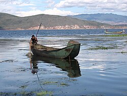On a lake with hills in the background a man in a pole boat pulls up a fishing net. There are water plants on the surface. People stand in shallows by by another boat in the background.