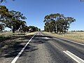 A northbound view of the Newell Highway between Finley and Jerilderie