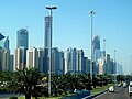 Palm trees and other trees in the road median in Abu Dhabi