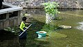 A Worker is cleaning pool at Kowloon Park