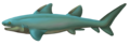 Cartilaginous fish