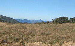 prairie de Horton et pic montagneux du Pic d'Adam au loin