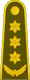 Pulkininkas'(Lithuanian Land Forces)
