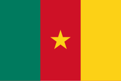 drapeau du Cameroun