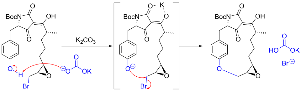 Synthesis of macrocidin A via SN2 etherification.
