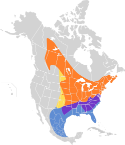 Sayornis phoebe map.svg