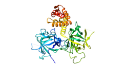 RYR2 protein.png