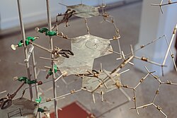 Réplica tridimensional da dupla hélice de DNA, com duas cadeias e peças ligando-as no interior.