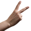 کاغذ