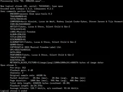 Example of file metadata of an Opus audio file, using Vorbis comments