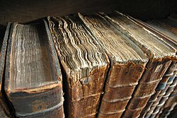 Colour photograph of the top of old books on a shelf, with frayed edges, warped pages and similar signs of age.