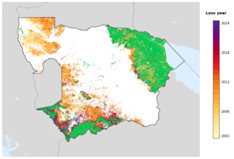 Map of Battambang showing tree-cover loss years, with forest remaining since 2000 in green and loss years shaded yellow through purple.