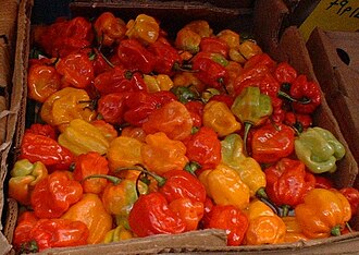 Scotch bonnets,Caribbean