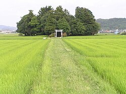 shrine surrounded by trees