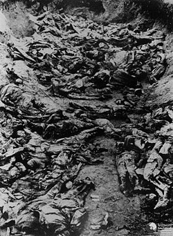 Mass grave of Polish officers killed in the massacre at Katyn Forest
