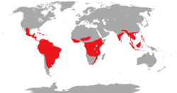 Tutmonda natura arealo