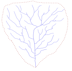 Schéma d'une structure arborescence