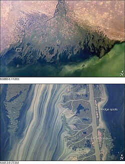 Russia, delta del fiume Volga, la scarsa energia del bacino ricevente ha permesso lo sviluppo ramificato dei canali, dettaglio.