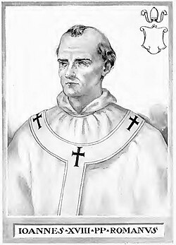 Ioannes XVII: imago
