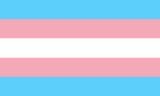 Five horizontal stripes equally sized colored with two light blue, two pink, and a white stripe in the center