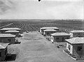 Tel Mond 1935