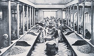 Magasin de cacao - Premier triage - 1890.
