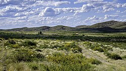 Dwergstruweel in La Pampa (Argentinië)