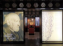 Entrada a la exposición temporal Santiago Ramón y Cajal del MNCN
