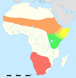 Natura arealo de strutoj
Struthio molybdophanes
Struthio camelus camelus
Struthio camelus massaicus
Struthio camelus australis