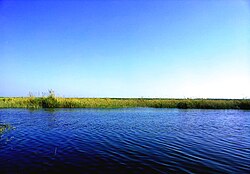 vue d'un plan d'eau