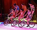 bicycles in circus