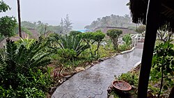 A tropical rainstorm falling over lush coastal vegetation at a beach lodge in Mozambique, showing wet pathways, greenery, and misty conditions