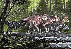 Gorgosaurus chassant des Corythosaurus et un Chasmosaurus. Le Gorgosaurus est situé à gauche dans le dessin. Sa tête est dirigée vers la droite avec la mâchoire ouverte. Devant lui trois Corythosaurus et un Chasmosaurus. Ils courent tous vers la droite dans un cours d'eau de faible profondeur.