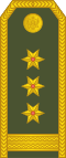 Pukovnik(Montenegrin Ground Army)