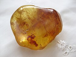 A dark gold transparent smooth lump of resin