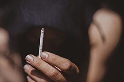 نیکوتین در اندازههای کم یک انگیزندهاست که سبب افزایش هوشیاری، حافظه و فعالیت میشود.