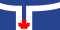 Taskforce icon