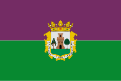 Flag of Plasencia