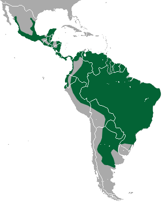 Natura arealo