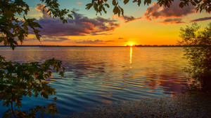 Sunset over calm water framed by tree leaves — 8K Wallpaper