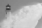 InvestSMART Market Leaders weathers storm