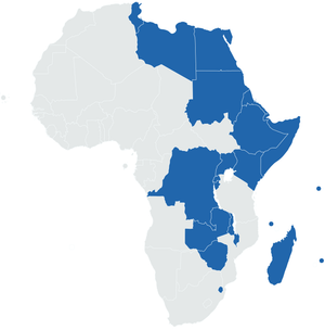 Common Market for Eastern and Southern Africa (COMESA)