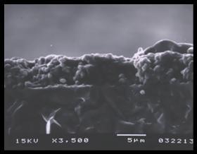 solid oxide fuel cell cathode and electrolyte cross section by SEM