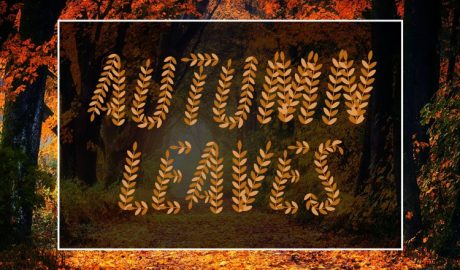 Autumn Fonts