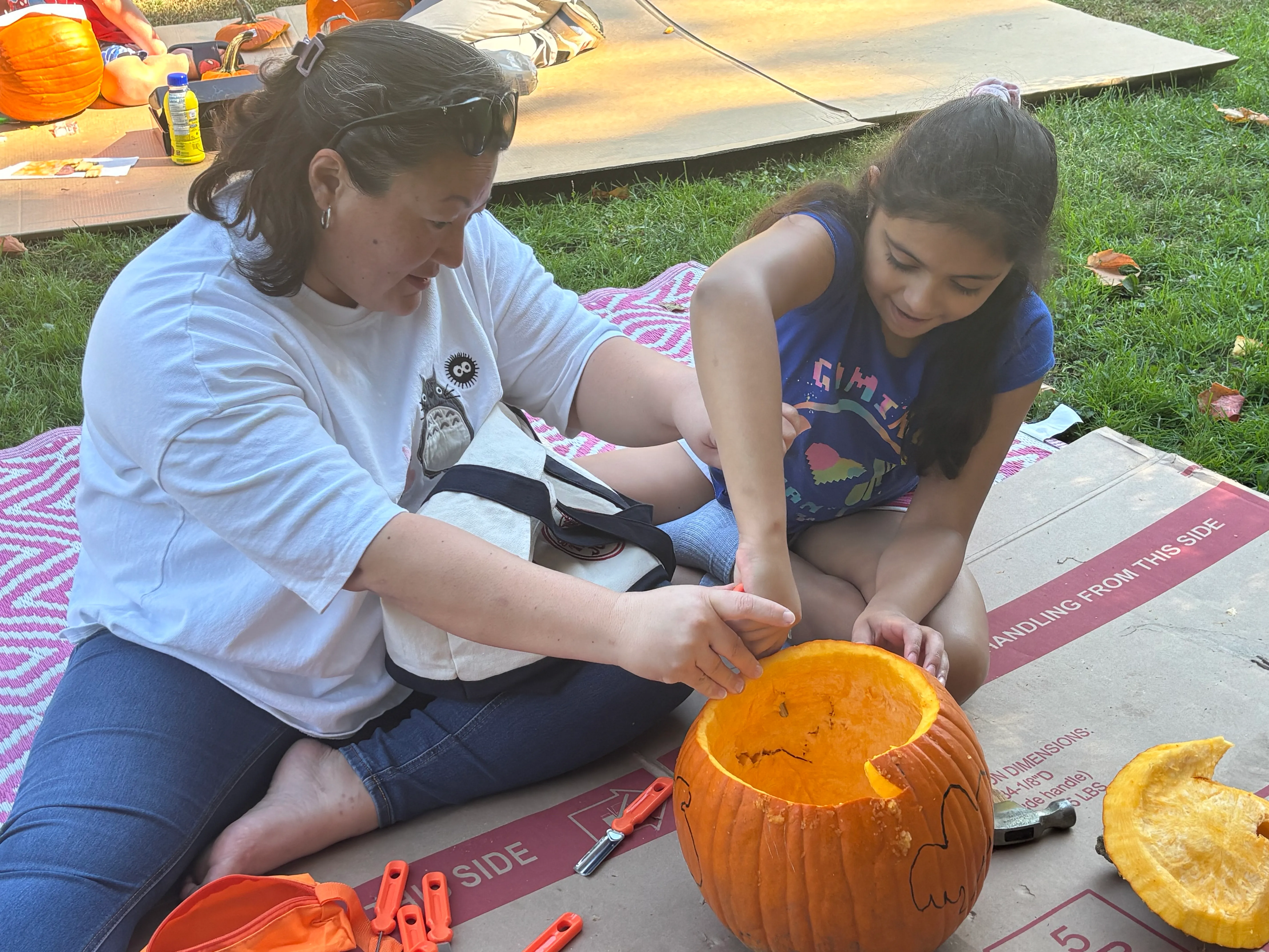 For gourd-ness sake: Artists decorate pumpkins in Washington Park
