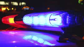 New York man dies in early morning crash near Divernon